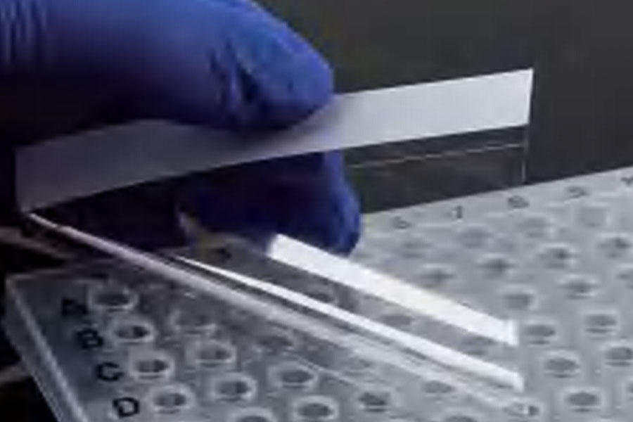 detail of PCR Plate & Sealing Film