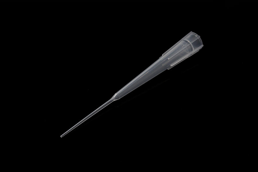 detail of Gel loading pipette tips